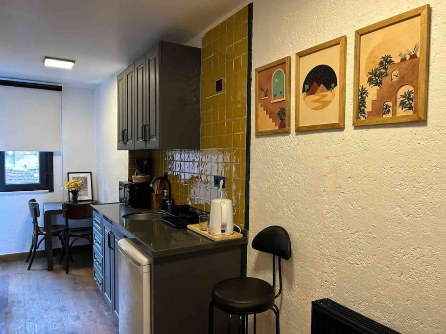 شقة Casa Mirasol Terrace Golden Horn اسطنبول المظهر الخارجي الصورة